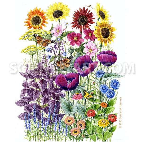 Pollinator Garden Flowers by Marjorie Leggitt