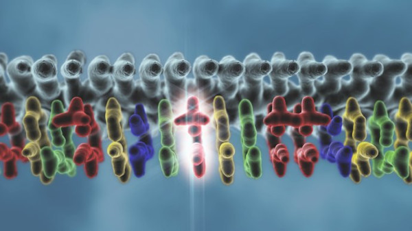 DNA mutation by Dr Jon Heras