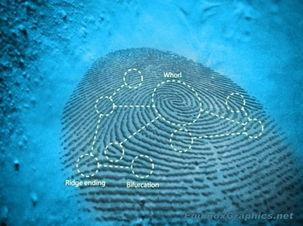 Fingerprint by Dr Jon Heras
