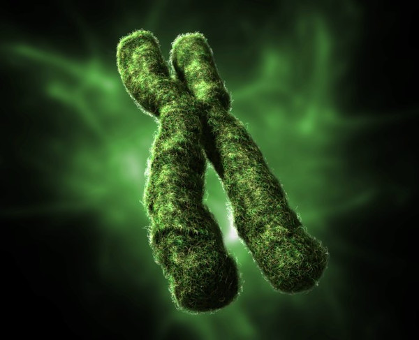 Chromosome Close by Dr Jon Heras