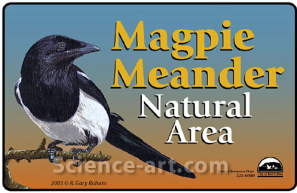 Magpie Meander by R. Gary Raham