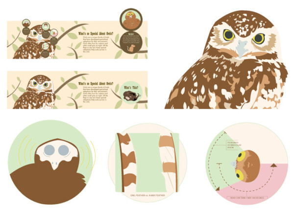 Parts of an Owl Interactive Sign by Sara Cramb