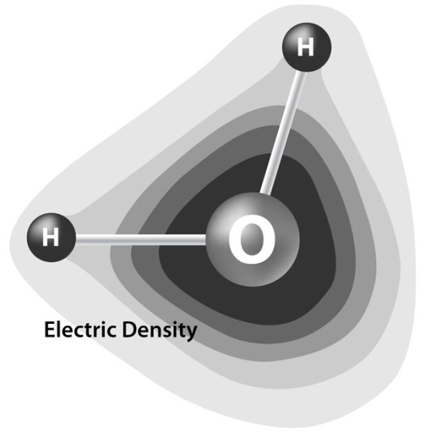 Electric Density of Water Molecule by Kelly Finan