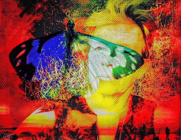 Butterfly by Susan Detroy, Image 1.