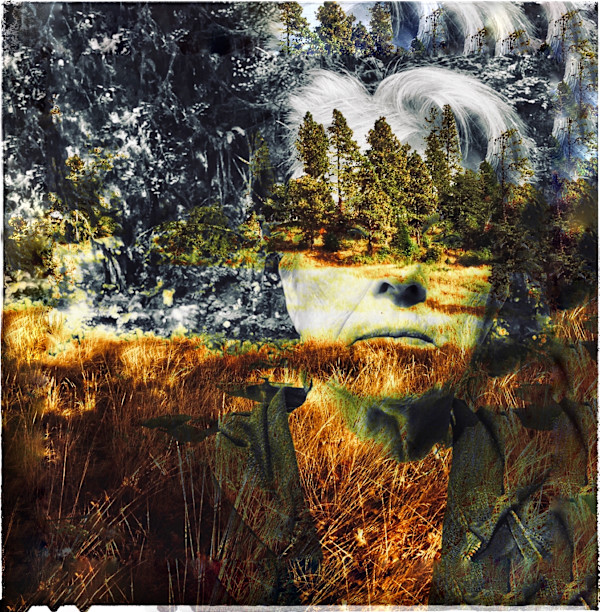 I Am Forest by Susan Detroy