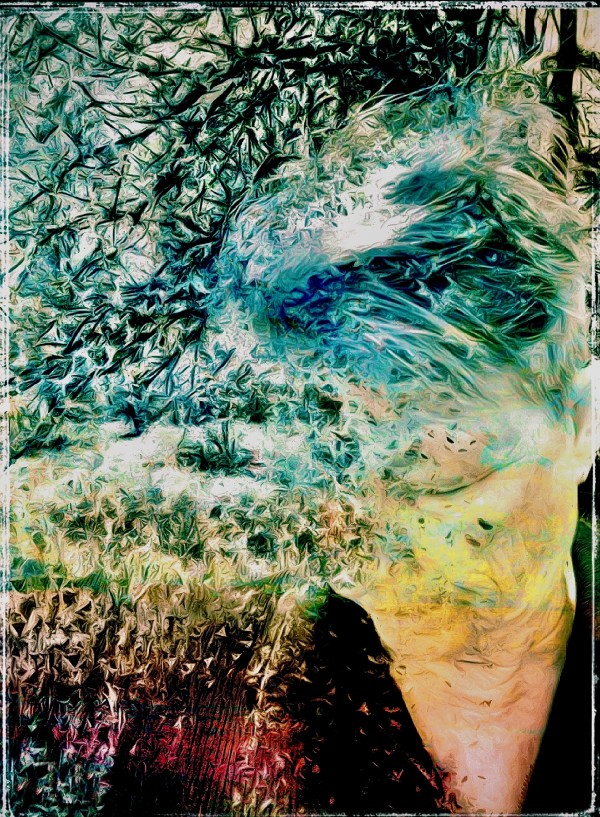 Dispersed by Susan Detroy
