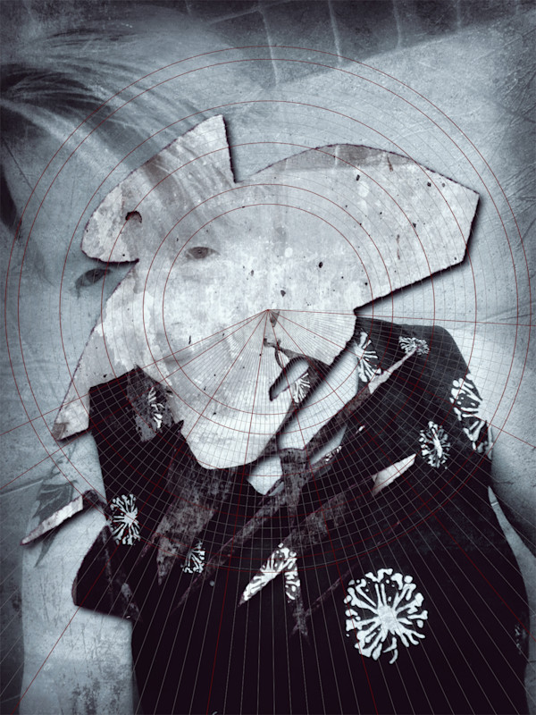 Am I The Target by Susan Detroy