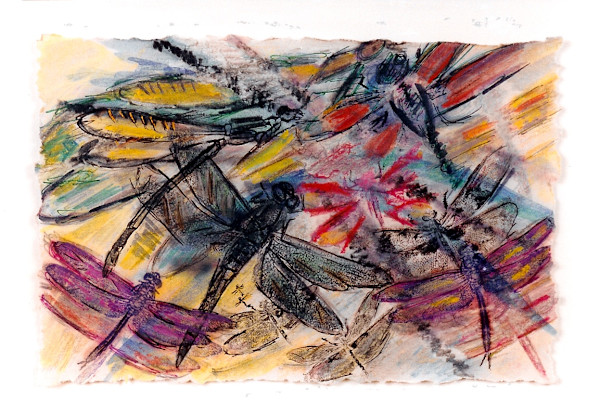 Dragonfly Forward by Susan Detroy, Image 2.