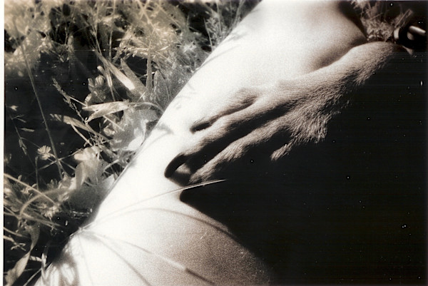 Paw and Leg by Susan Detroy