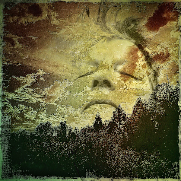 Dream Refuge by Susan Detroy, Image 1.