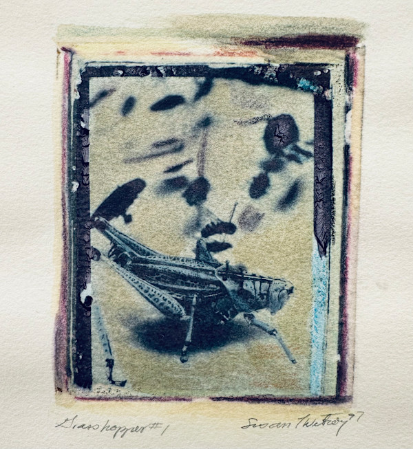 Grasshopper #1 by Susan Detroy, Image 4.