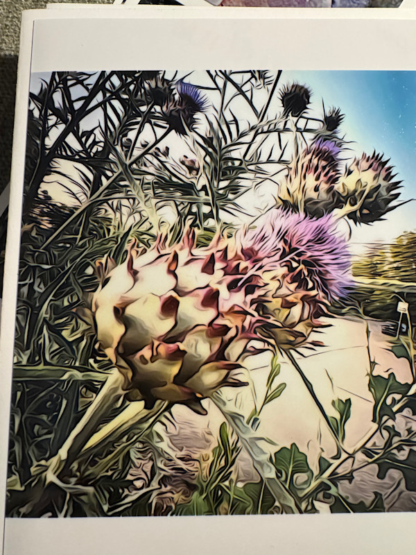 Nature Earth-Love Cards, New 2026 by Susan Detroy, Image 1.