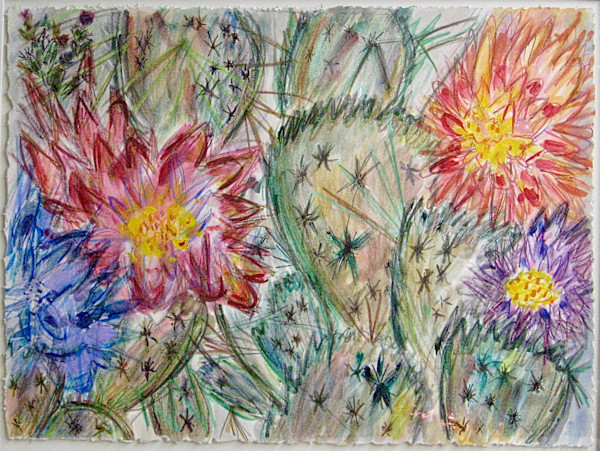 Cactus Alive by Susan Detroy