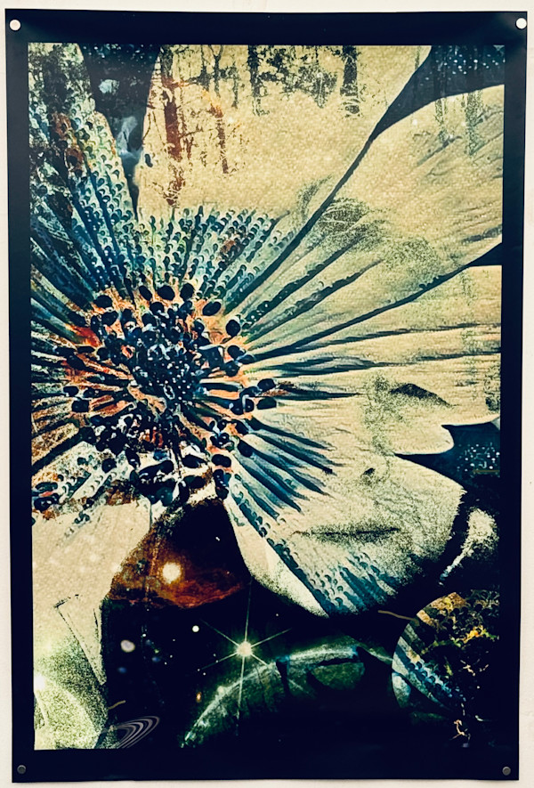 Celestial - Poster by Susan Detroy, Image 1.