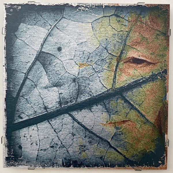 Leaf Life - Metal Print by Susan Detroy