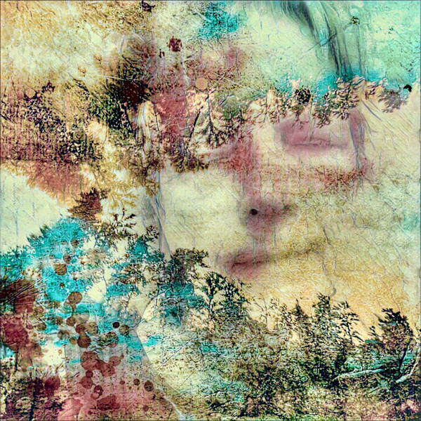 Quiet by Susan Detroy, Image 6.