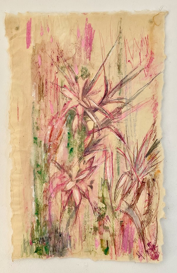 Cactus Pink by Susan Detroy