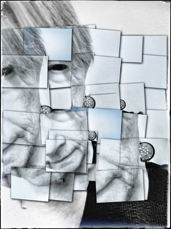 Not Built Like That - Small Print by Susan Detroy