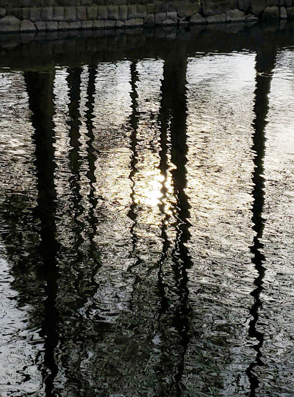 Reflections in the Moat by SP Estes