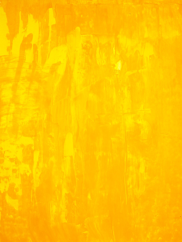 Field_13_-_4L8A0438_jtu2wk_4