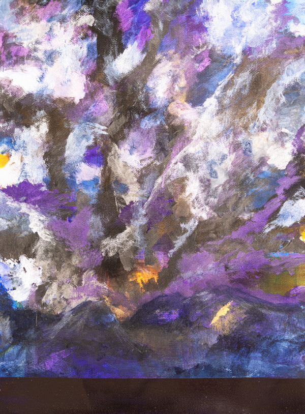 Field_15_-_4L8A0440_gui9an_3