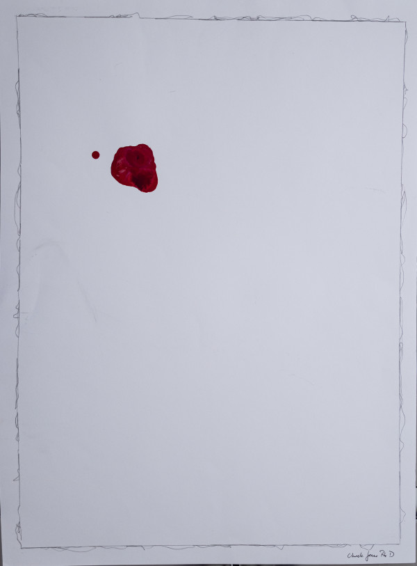 Red_Spot_-_4L8A0497_q667kc_8