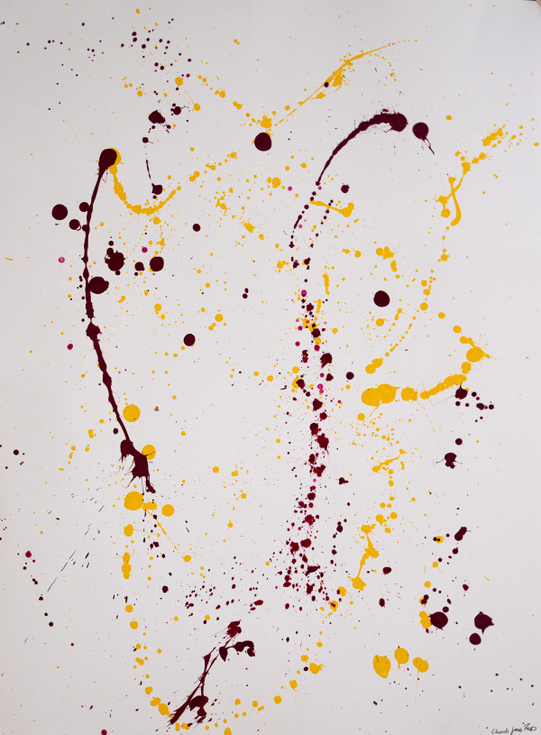 Spots_01_-_4L8A0488_gr1jpv_2