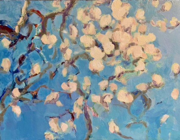 Magnolia by Melanie Kozol