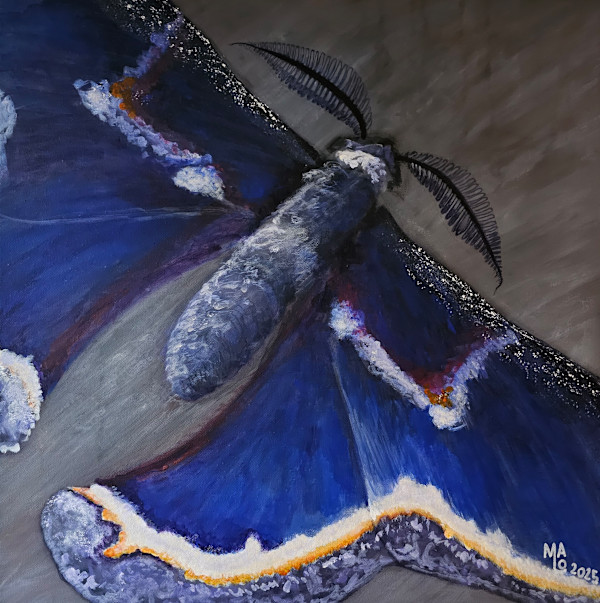 YOU ARE THE FUTURE, BIG MOTH (1/2) - PRESENTIMENT / DU BIST DIE ZUKUNFT, GROSSER FALTER (1/2) - AHNUNG by MaLo Magic Blue - Mario Lorenz