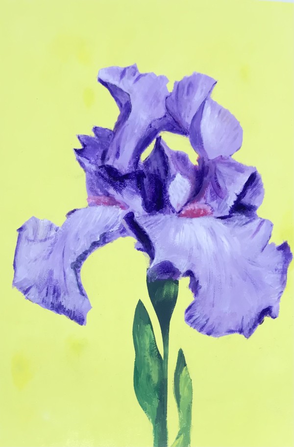 Purple Iris by CLARK W FOBES