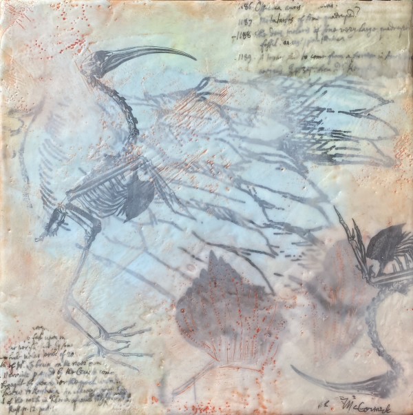 Local Extinction: Sacred Egyptian Ibis, II by Paula McCormick