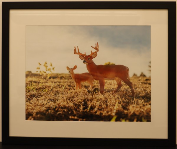 Deer by Samantha Pavelsek-Simmons