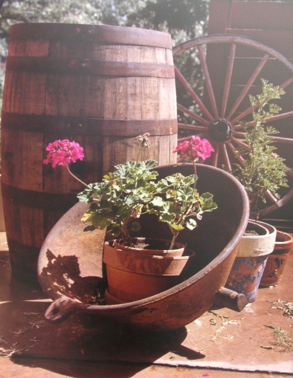 Geraniums and Barrel by Stephen Blecher