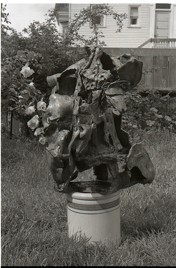 Canyon Survivor by William Underhill