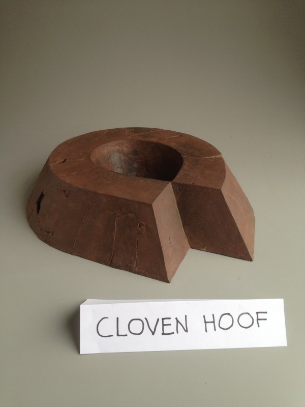 Cloven Hoof by William Underhill