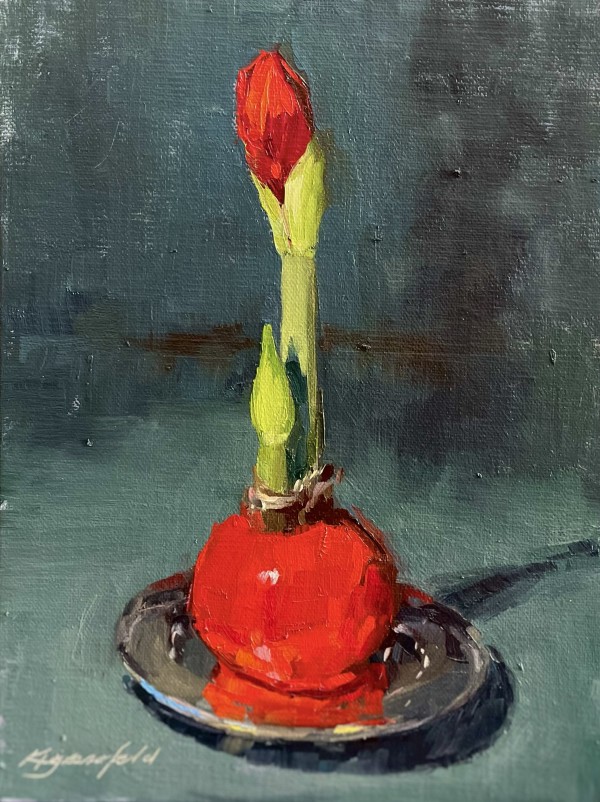 Amaryllis Blooming 1 by Katherine Grossfeld
