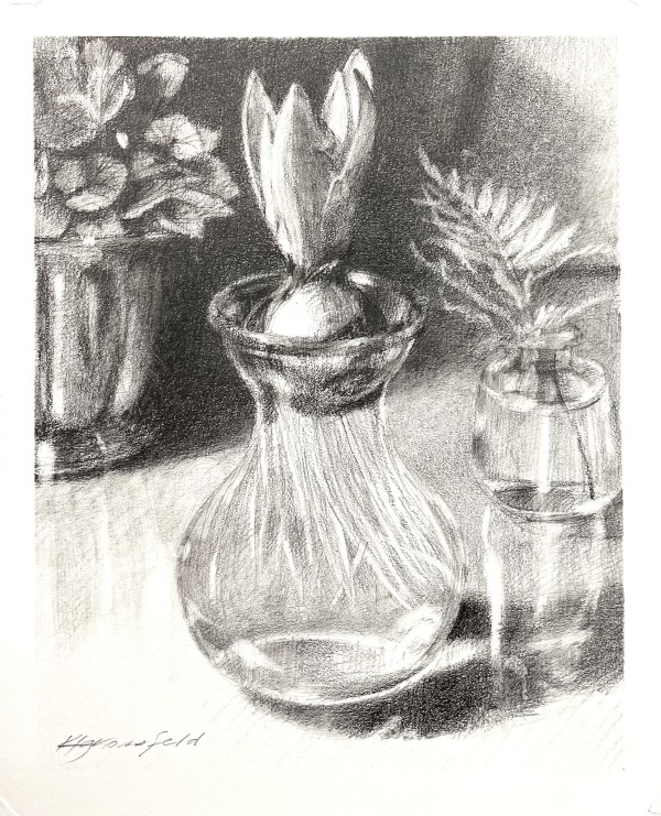 Drawing: Hyacinth Bulb by Katherine Grossfeld