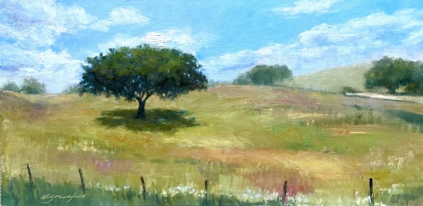 Spring Meadow in Spain by Katherine Grossfeld