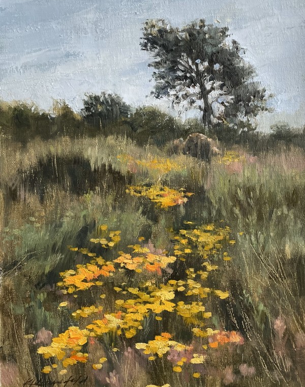 Wildflower Warmed Meadow by Katherine Grossfeld