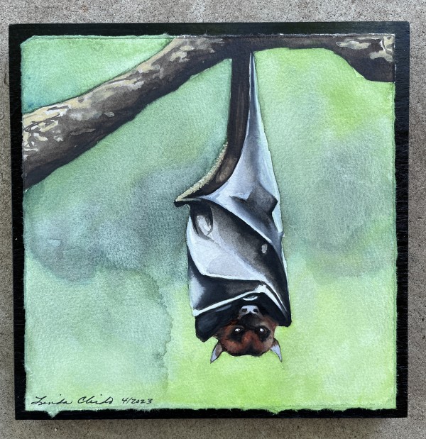 Bat by Linda Chido