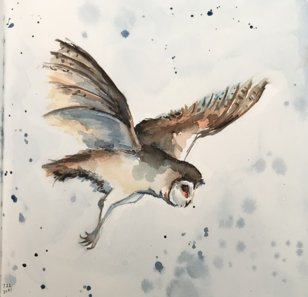 Flying Owl by Linda Chido