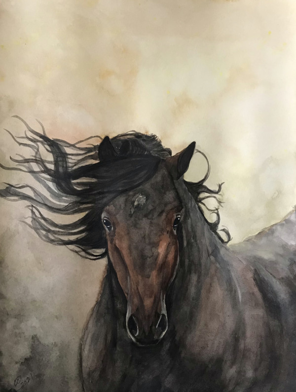 Horse Portrait by Linda Chido