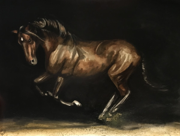 Leaping Horse by Linda Chido
