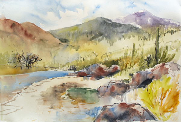 Streams in the Desert by Angela Fehr