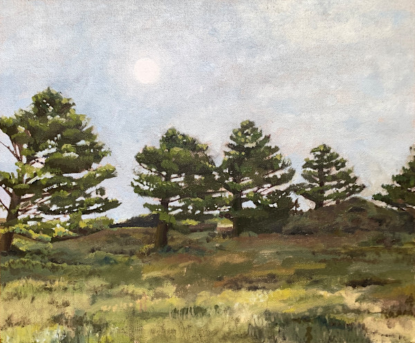 Pine Ridge by Melody Spangaro