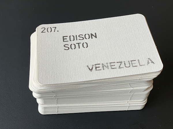Felled #3 212 Eco-Activists Murdered While Defending  Human Rights, Land Rights and the Environment in 2019
