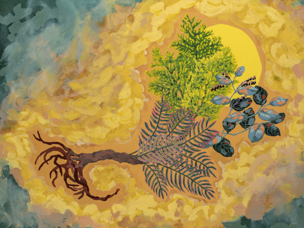 Symbiosis by Nanette Moss