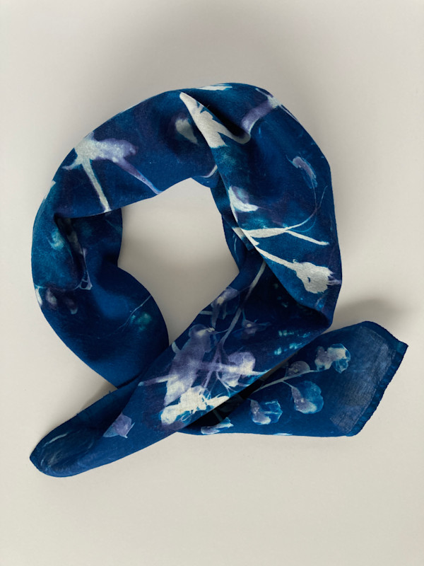 Sweet Pea 2 Cyanotype Organic Cotton Square Scarf by Nanette Moss