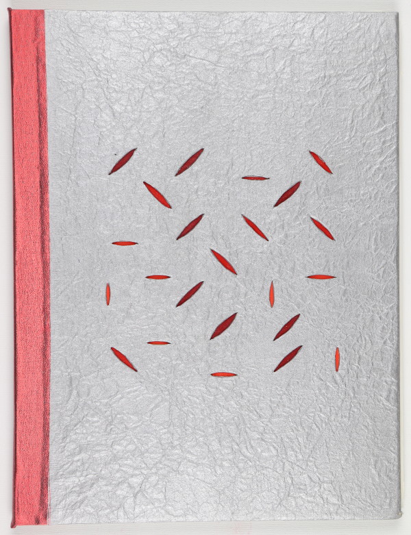 Vibration, Consciousness, Conscience by Audra Skuodas