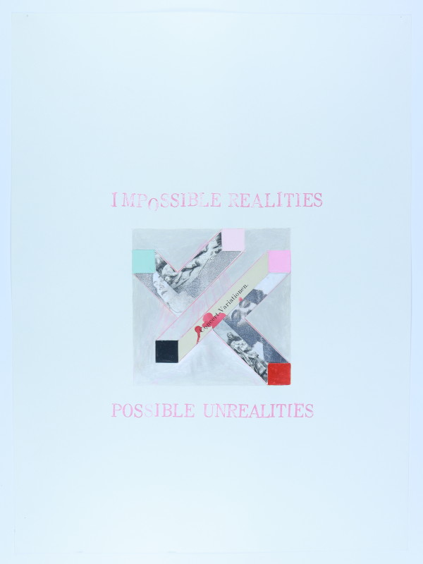 Impossible Realities/Possible Unrealities by Audra Skuodas